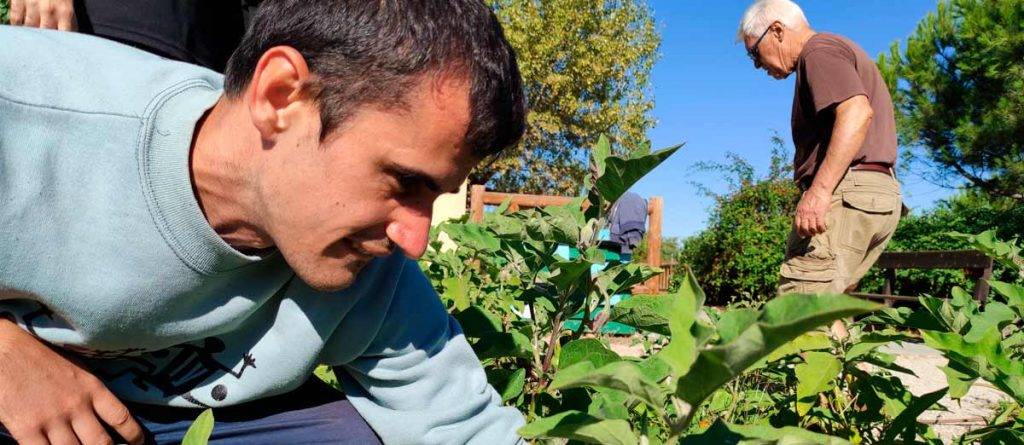 Persona con discapacidad participando en el huerto colectivo Parque Polvoranca